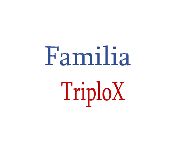 xMih_TriploX