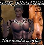 Bernard_PITBULL