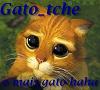 Gato_Tche