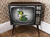 Tv_Snake