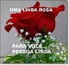 boneca_safadi