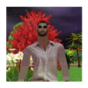 ALEF_OSBRUTOS