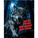 ªªCarmem_Loba