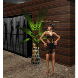 LobaBlack_Acero