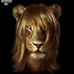 Deony_Lion