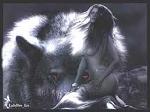 female_wolf